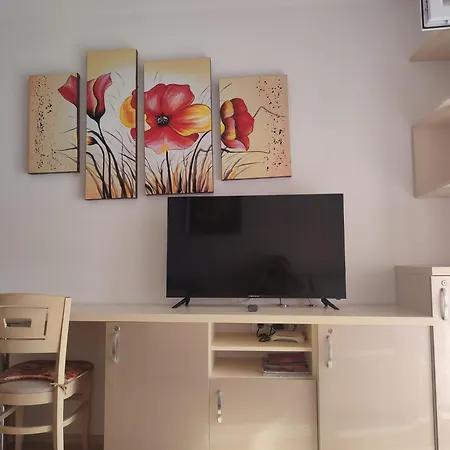 Apartment Dom-el Real Rodina 1 *